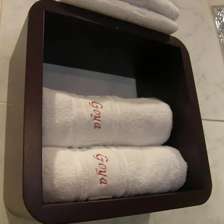 ゲストハウス Goya 2*